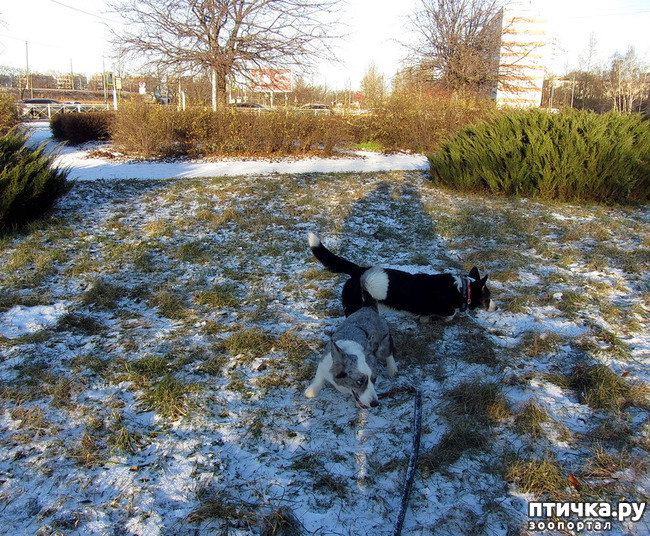 ���� 16: ������ � ��������� ����