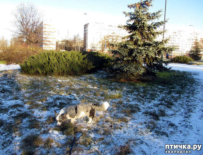 ���� 17: ������ � ��������� ����