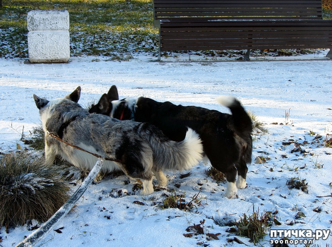 ���� 18: ������ � ��������� ����