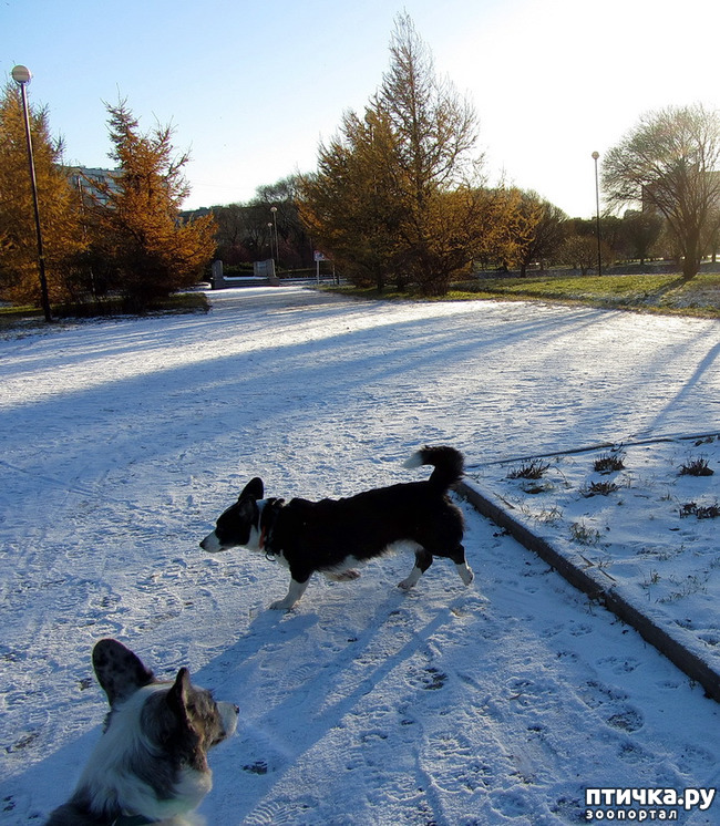 ���� 19: ������ � ��������� ����