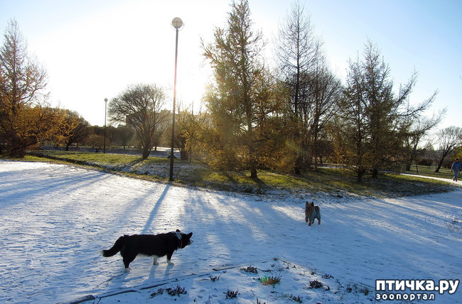 ���� 20: ������ � ��������� ����