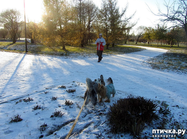 ���� 21: ������ � ��������� ����