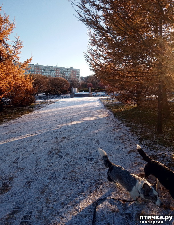 ���� 22: ������ � ��������� ����