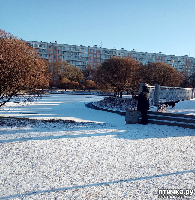 ���� 23: ������ � ��������� ����