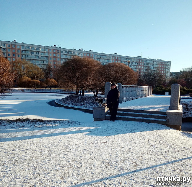 ���� 24: ������ � ��������� ����