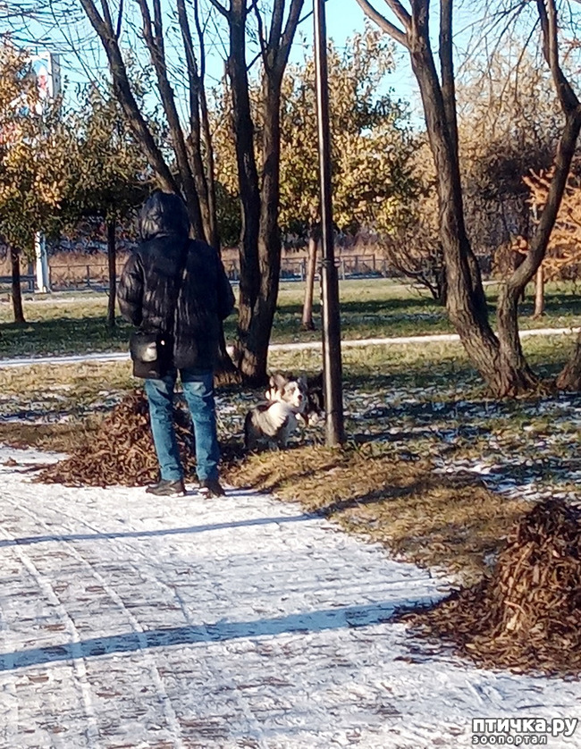 ���� 25: ������ � ��������� ����