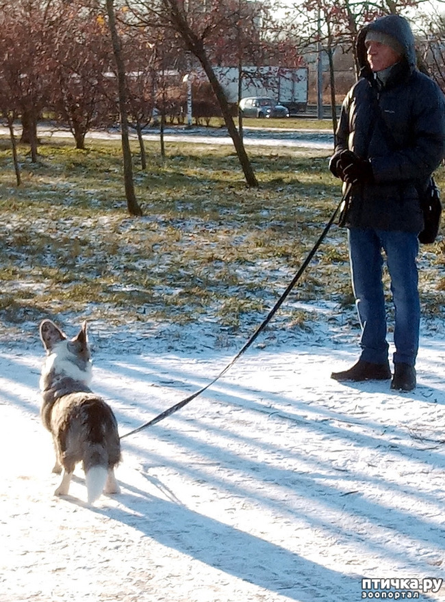 ���� 26: ������ � ��������� ����