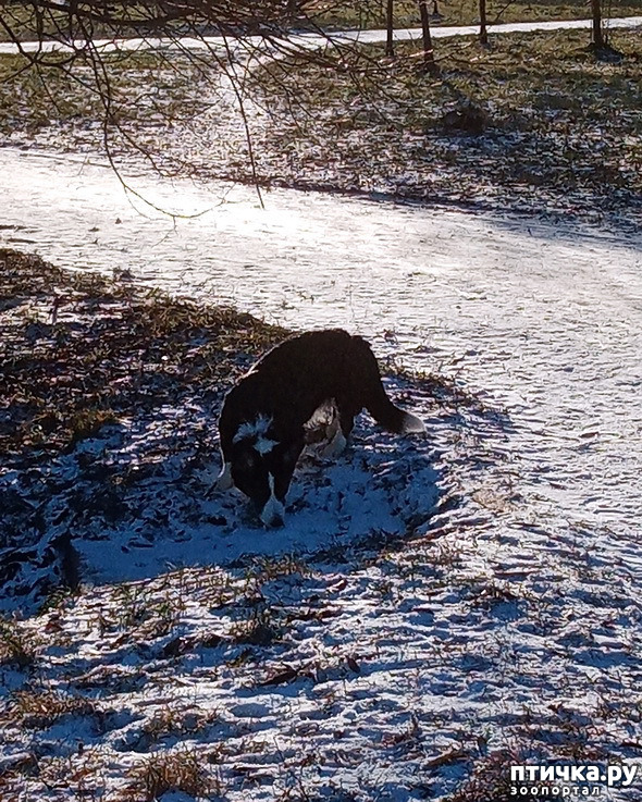 ���� 27: ������ � ��������� ����