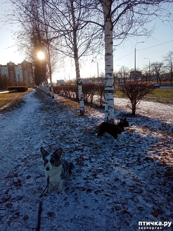 ���� 28: ������ � ��������� ����