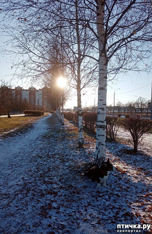 ���� 29: ������ � ��������� ����