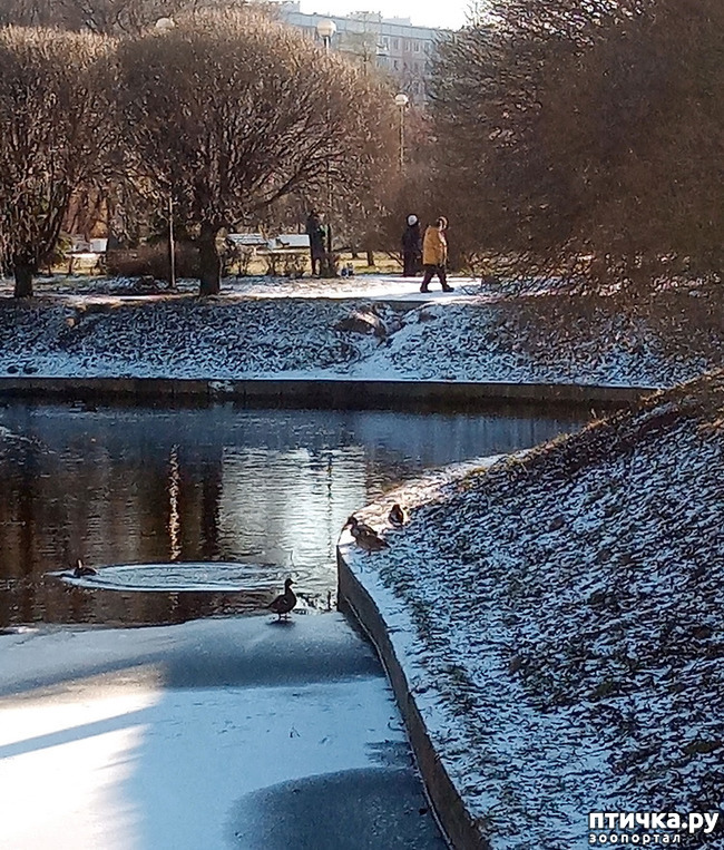 ���� 4: ���� � ��������� ����