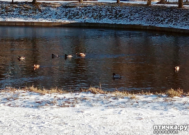 ���� 6: ���� � ��������� ����