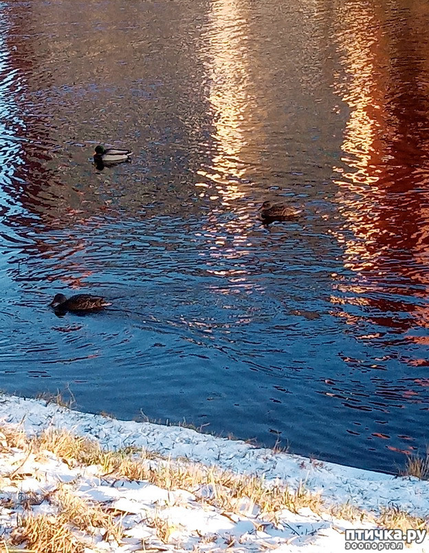 ���� 8: ���� � ��������� ����