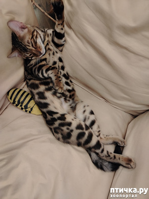 ����: �������� ������ ������� ���������������� ����.