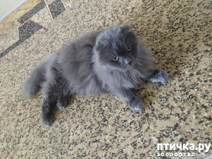 ����: ���� ���� �� ���.