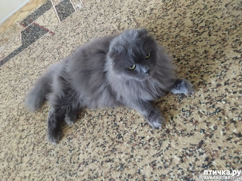 ���� 1: ���� ���� �� ���.