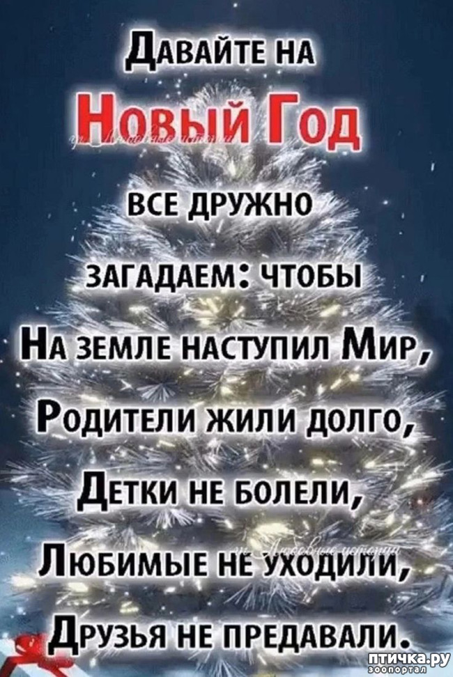 ���� 2: � �����������!