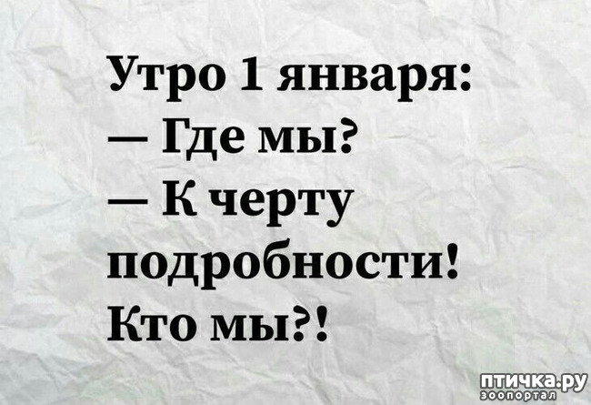 ���� 5: � �����������!