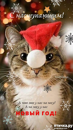 ����: � �����������!