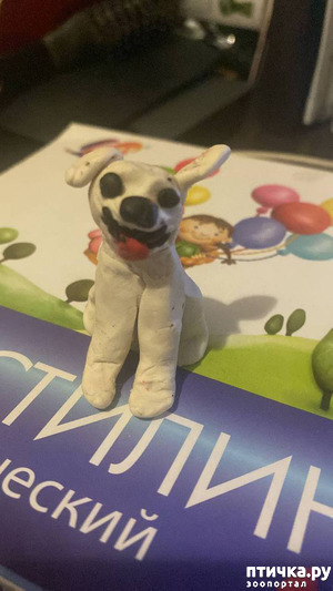 :  )))