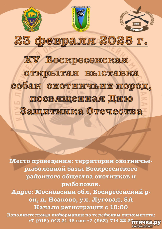  1: 