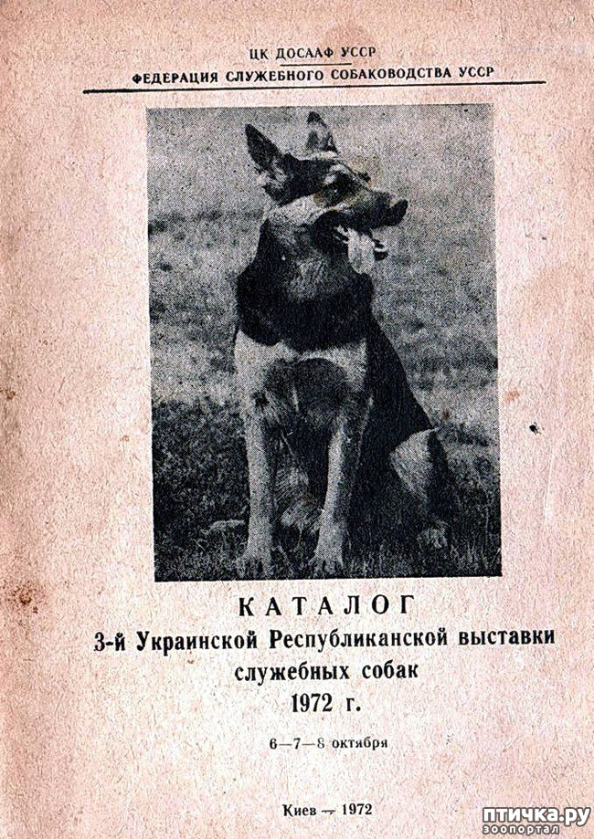  1:  
