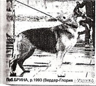  5:  