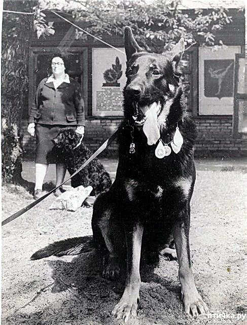  8:  