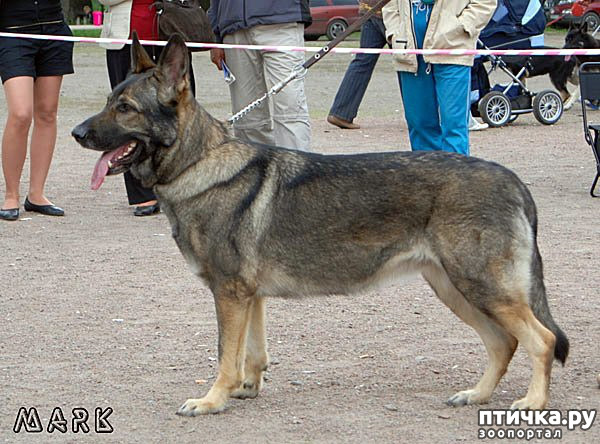  11:  