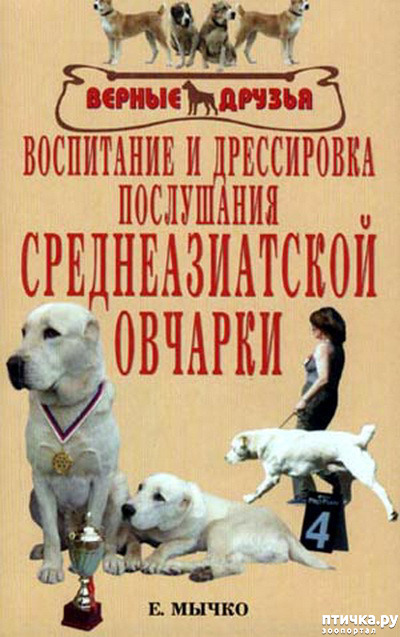  8:  