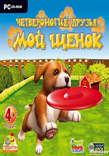  9:  