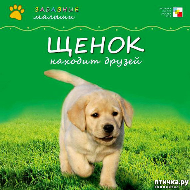  10:  