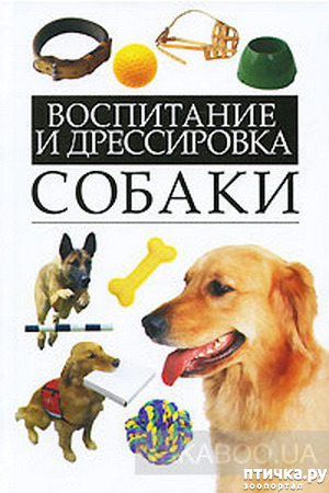  11:  