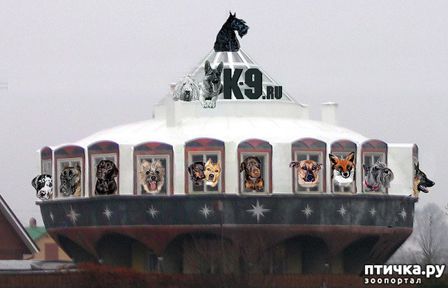 12:  