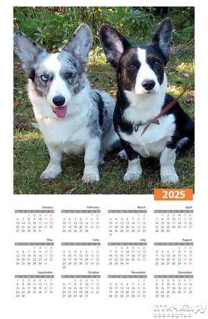 :   2025 !