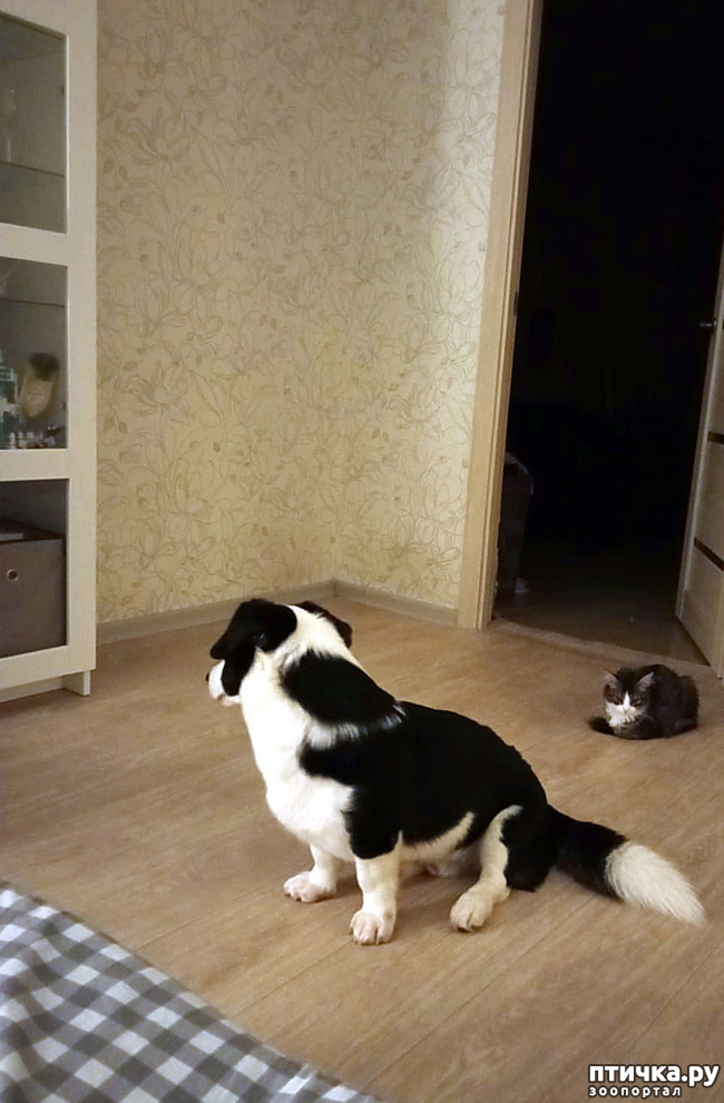  21:    