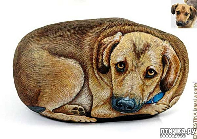  2:   