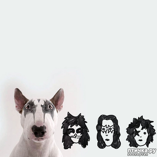  5:   