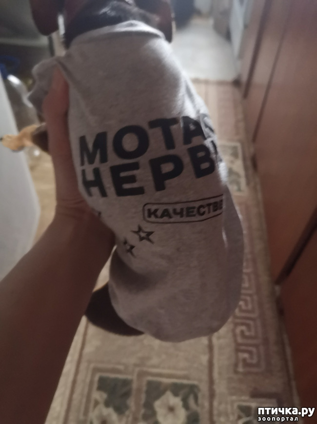  2:  )))