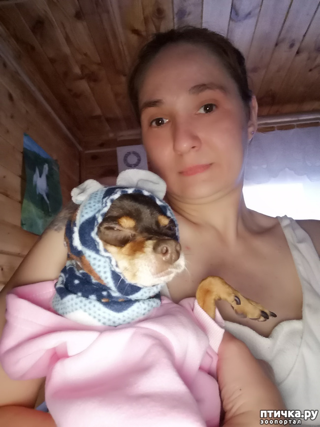  4:  )))