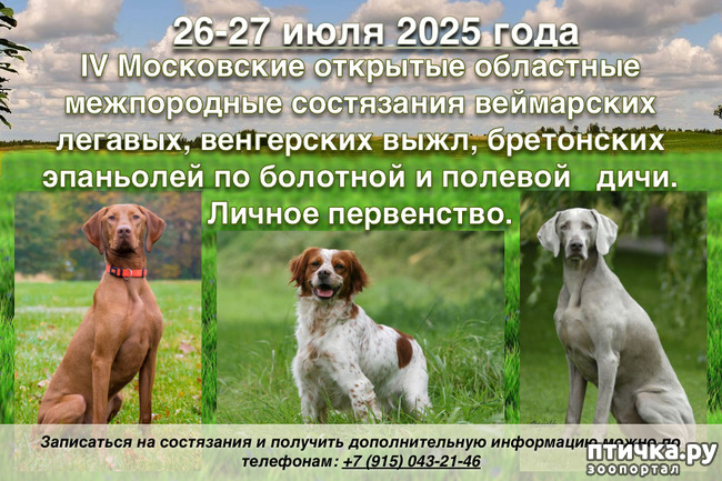  1: 