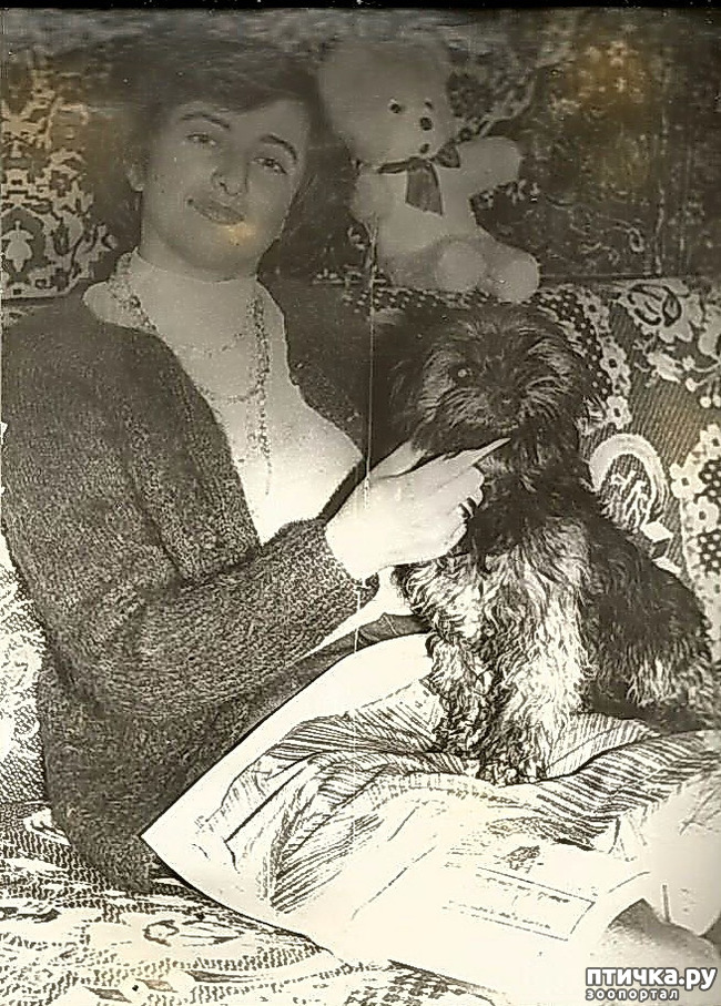  3:  . 