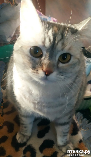 : ! !