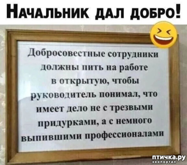  6:  