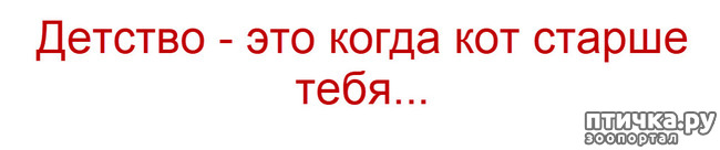  14:  