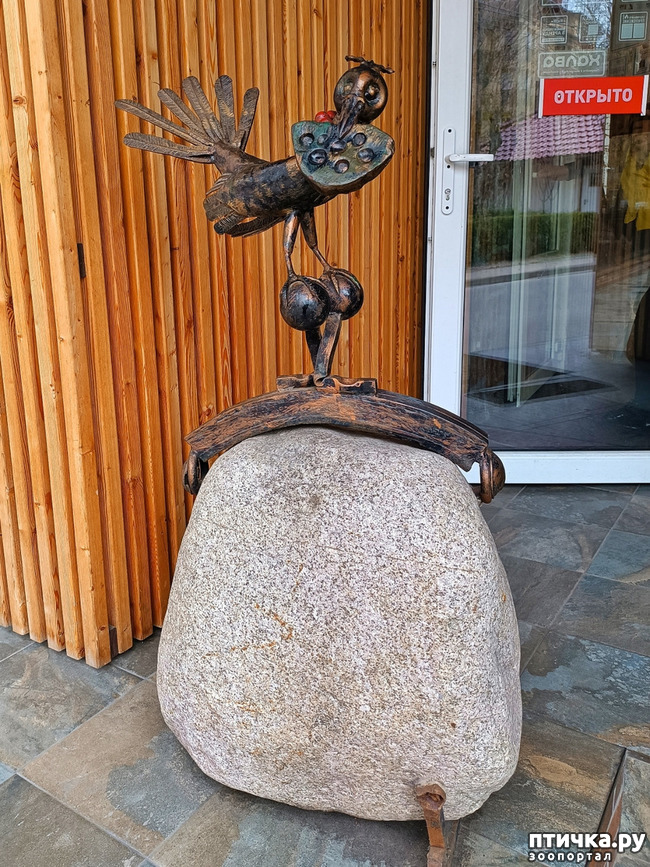  1: 