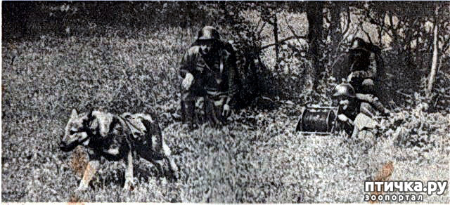  1:   