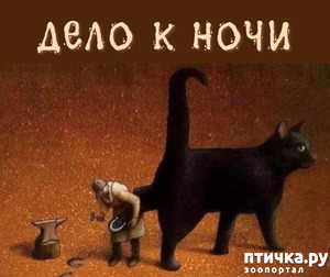 :  ""