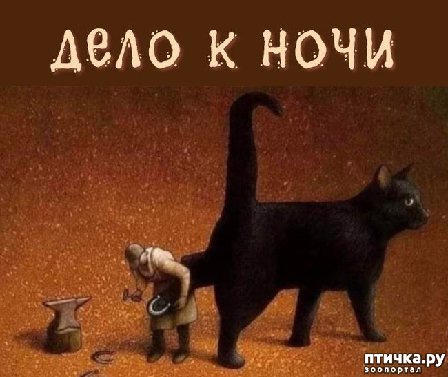  1:  
