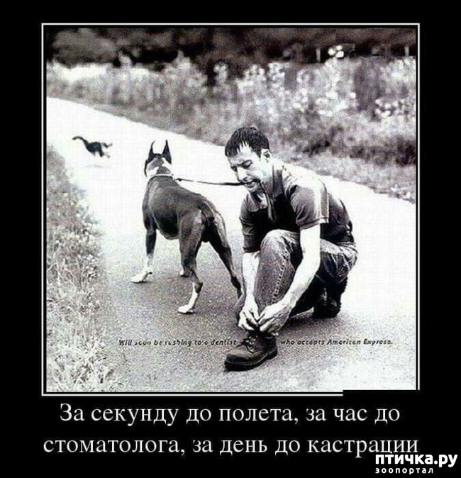  2:  